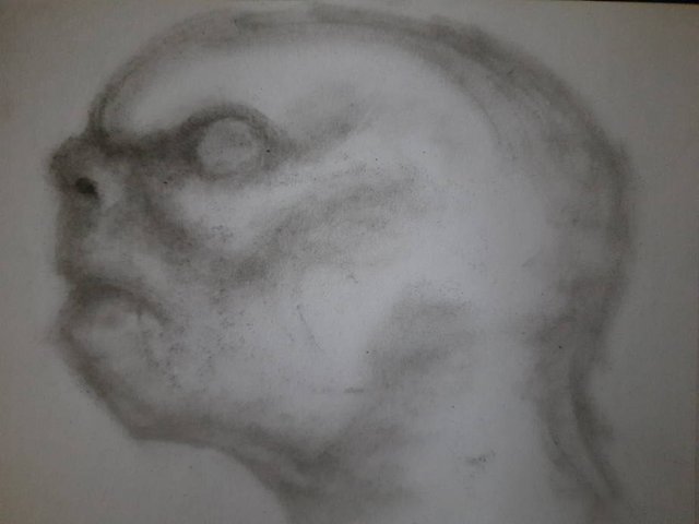 20251013_103831.jpg