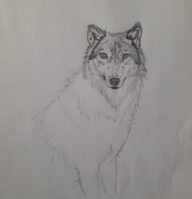 20250717_145525.jpg