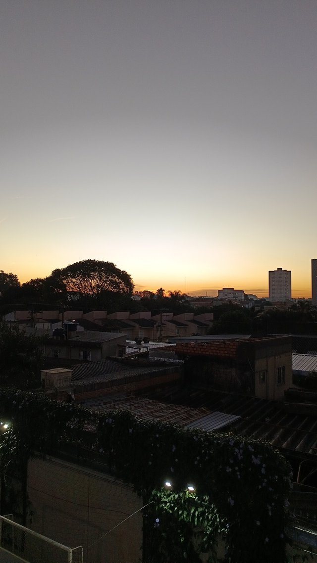 1000175060.jpg