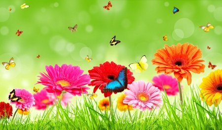 Spring-Flowers-And-Butterflies-Wallpaper-9.jpg