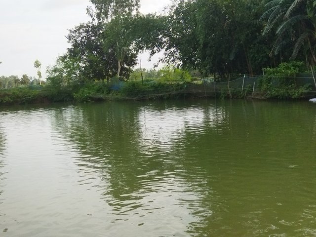 IMG_20250720_175719.jpg