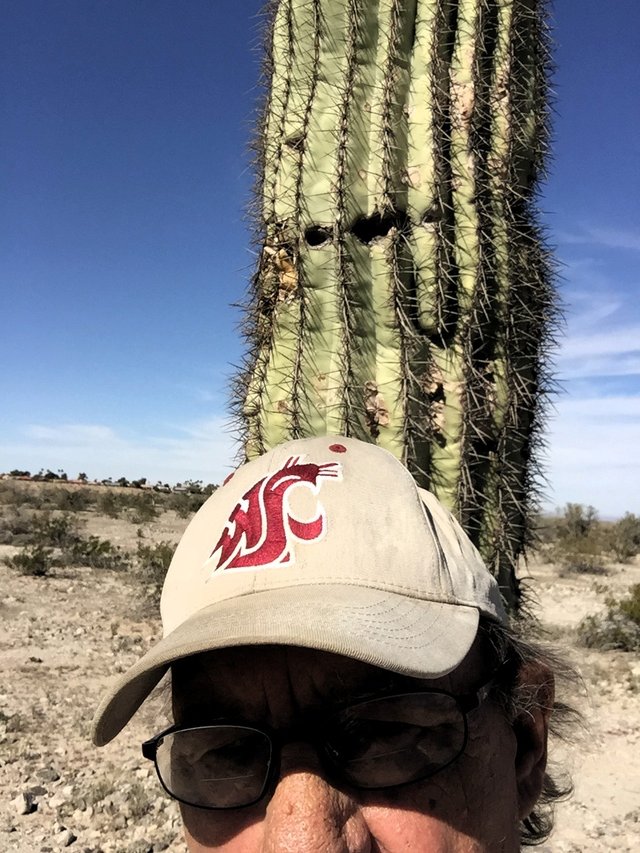 Saguaro damage detail selfie.JPG