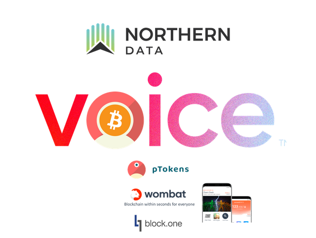 northerndatawombatptokensvoice.png