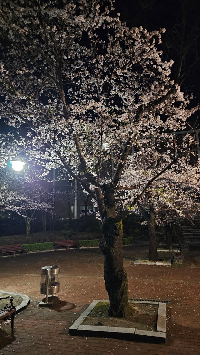 KakaoTalk_20250415_231609770_01.jpg