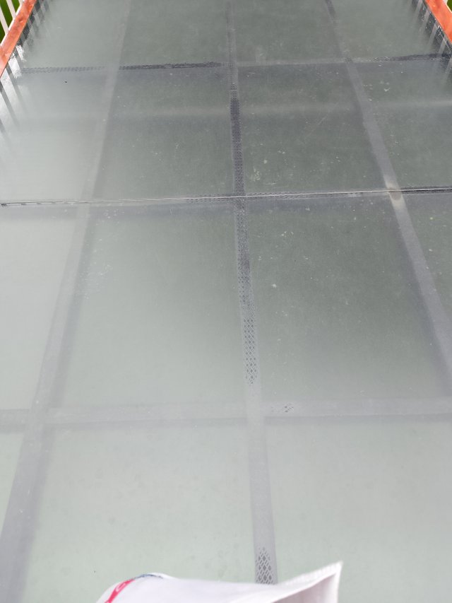 1000035752.jpg