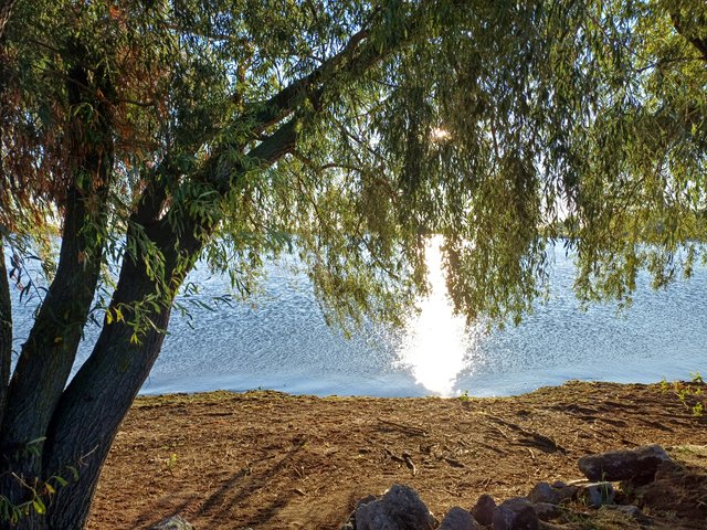 20250825_070824.jpg