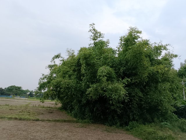 1000041855.jpg