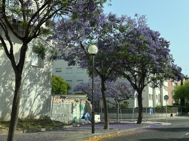 IMG_6858.jpeg
