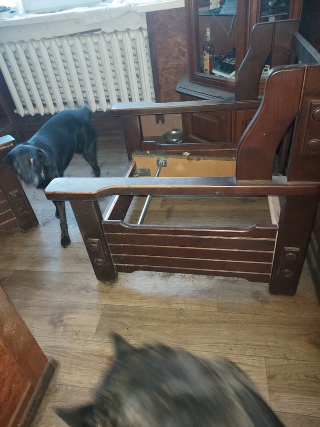 IMG_0313.jpeg
