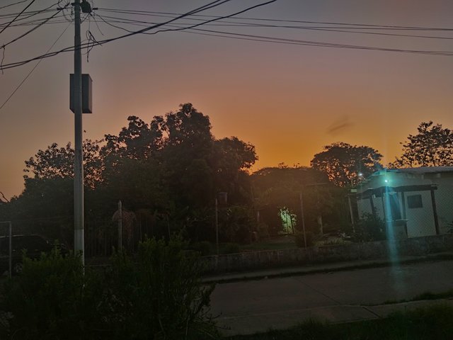 1000278101.jpg