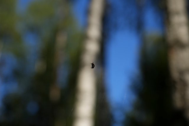 DSC03809.jpg