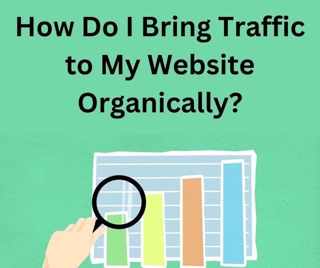 How Do I Bring Traffic to My Website Organically (1).jpg