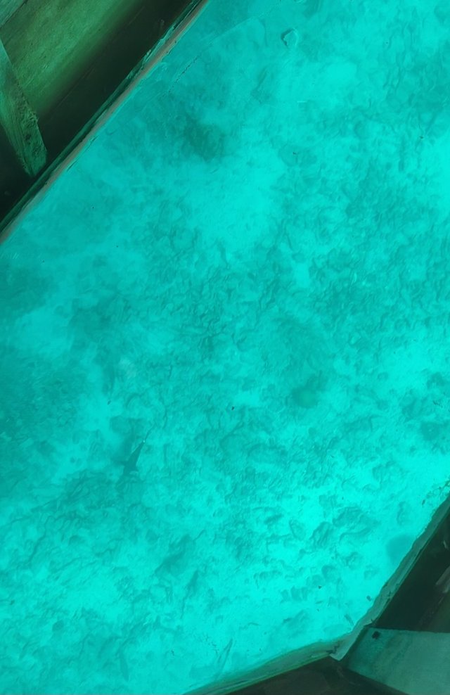 1000114857.jpg
