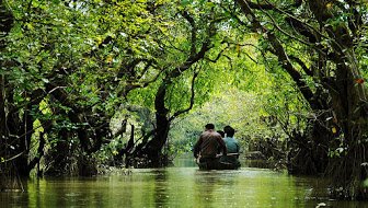 Ratargul_Swamp_Forest,_Sylhet..jpg