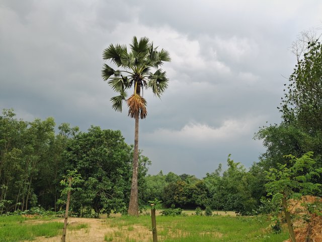 1000031479.jpg