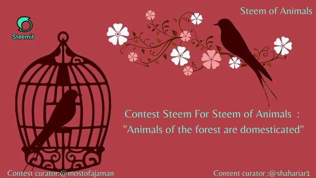 Contest Steem For Steem of Animals  Animals of the forest are domesticated.png