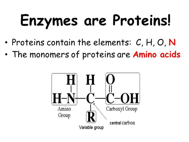 Proteins Steemit