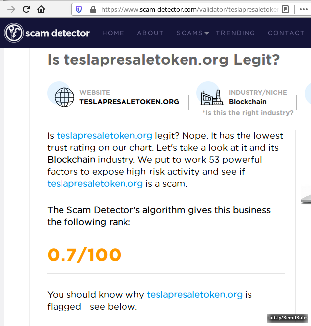 4 Tesla Presale Token is a scam - Remil Gresenbach.png