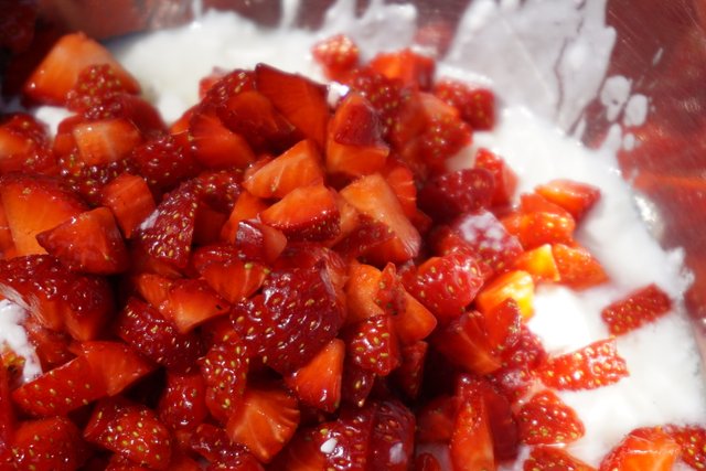 Close-up of a bowl of stainless steel filled with yoghurt, topped with small cut strawberries.