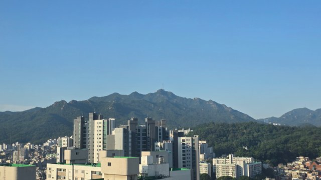 1000126424.jpg