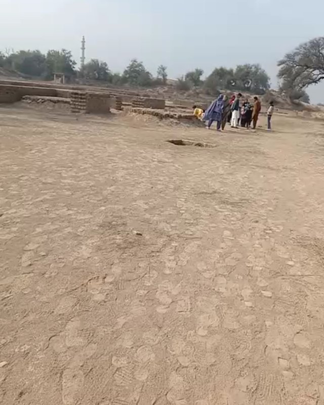 1000031014.jpg