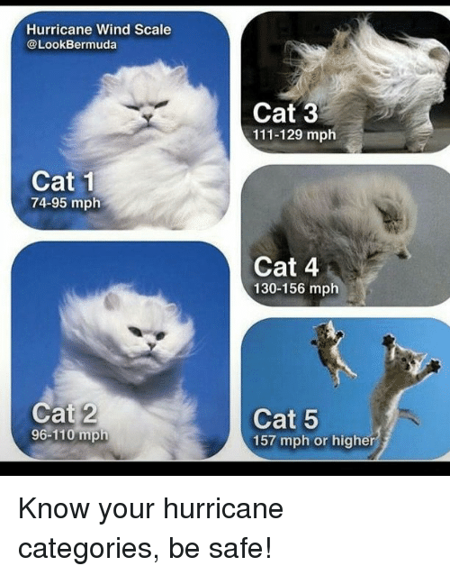 hurricane-wind-scale-look-bermuda-cat-1-74-95-mph-cat-4525517.png
