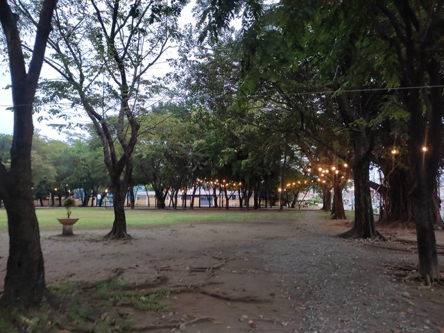 IMG_20250830_180336.jpg