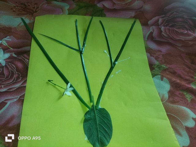 IMG20250604091150.jpg