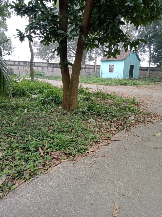 IMG20240115084750.jpg