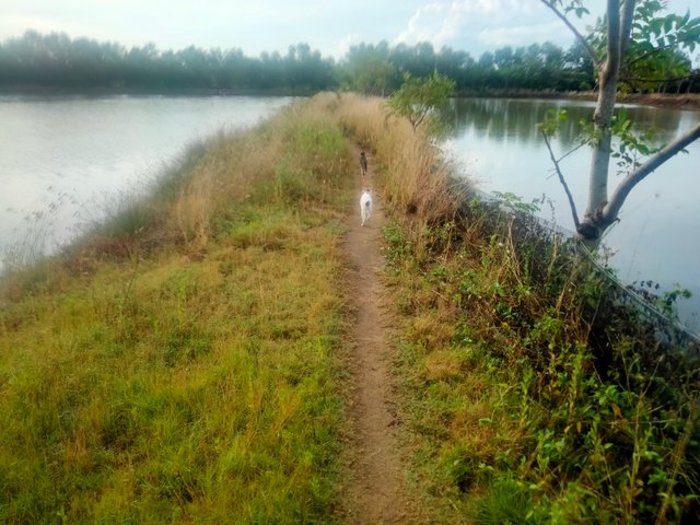 IMG20250712170423.jpg