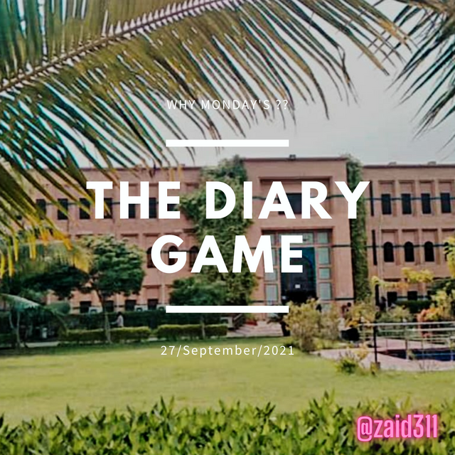 The Diary Game (3).png