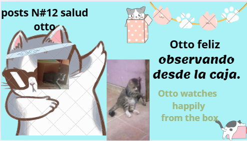 12salud.PNG