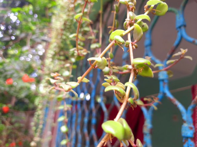 20250703_122136.jpg