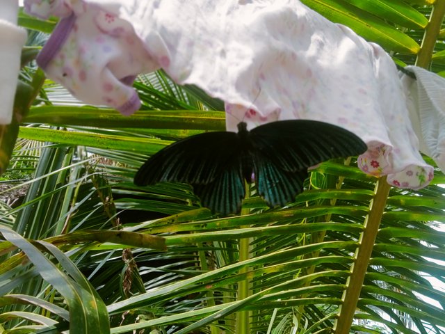 IMG20250507104304.jpg
