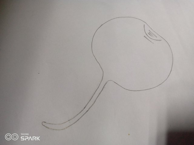 IMG_20250630_115708_146.jpg