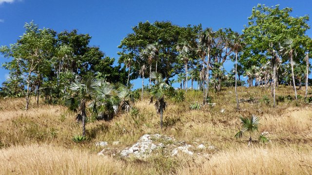 cuba_cienfuegos_05a.JPG