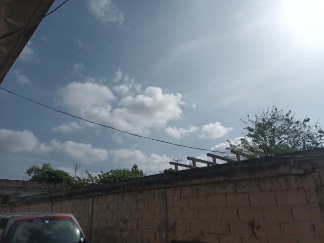 20250408_135155.jpg