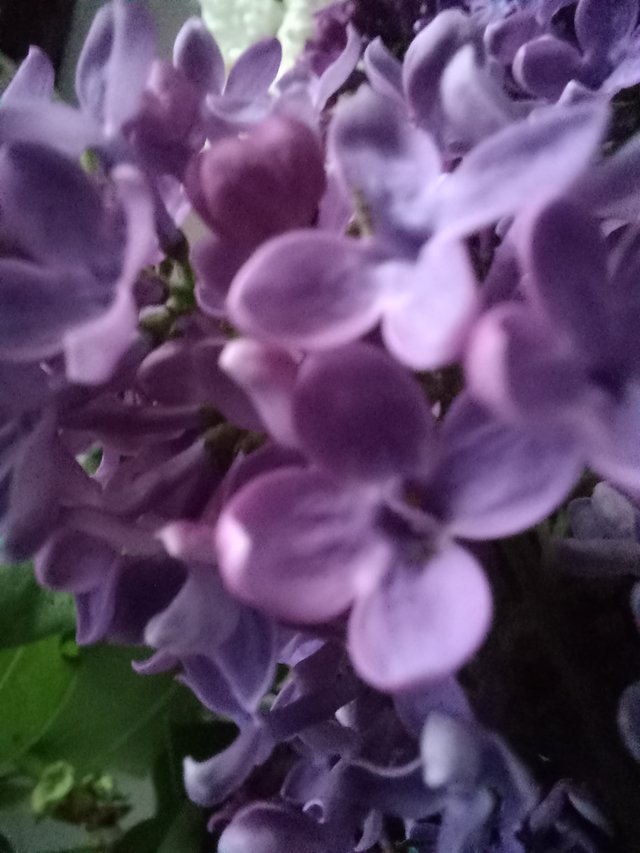 20250426_091303.jpg