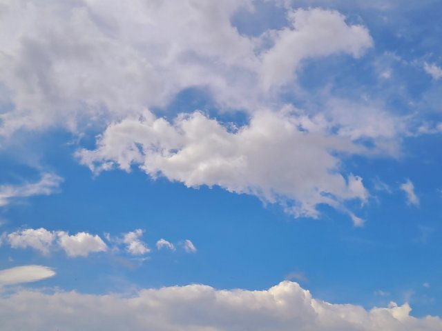 20250713_154647.jpg