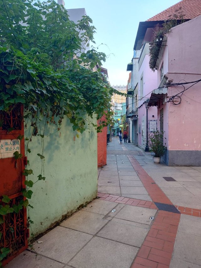 Macau14.jpg