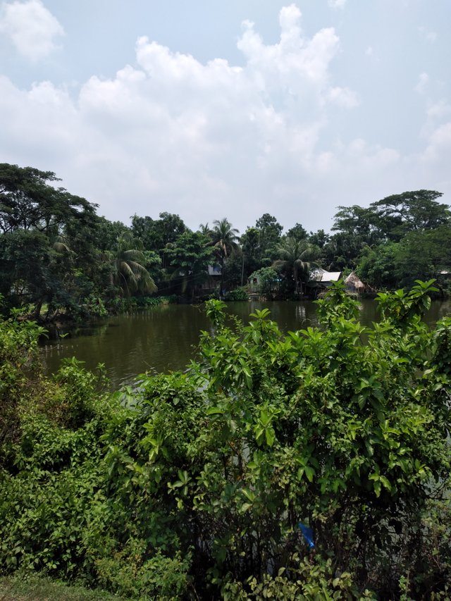 20250609_114925.jpg
