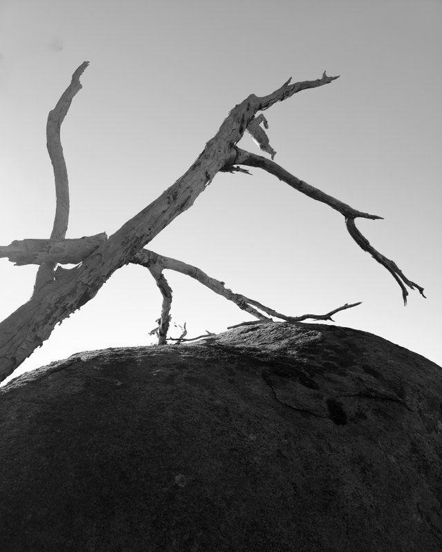 20250509_104823.jpg