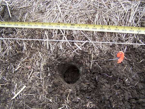 Garlic - dirt on top in hole crop Oct. 2018.jpg