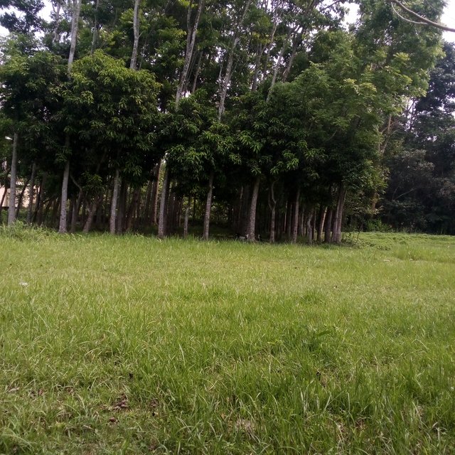 IMG_20250427_132612_445.jpg