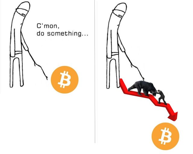 bitcoin-bear.jpg