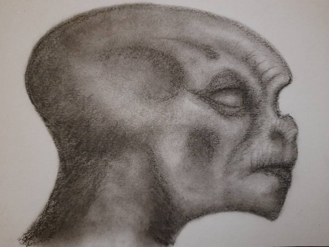 20250731_104705.jpg