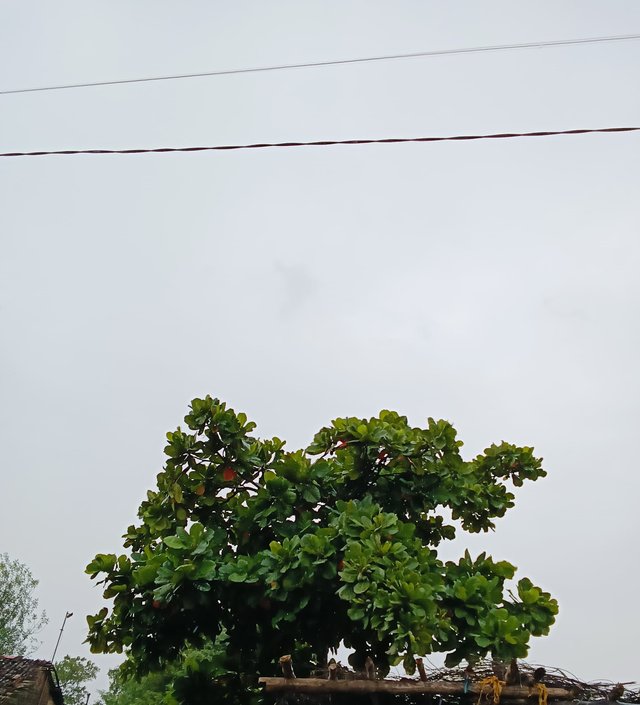 IMG-.jpg