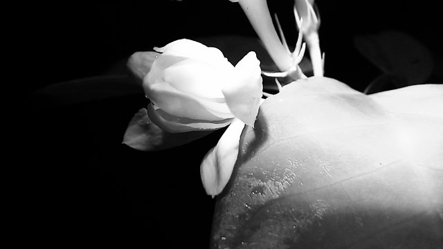 20250625_213043.jpg