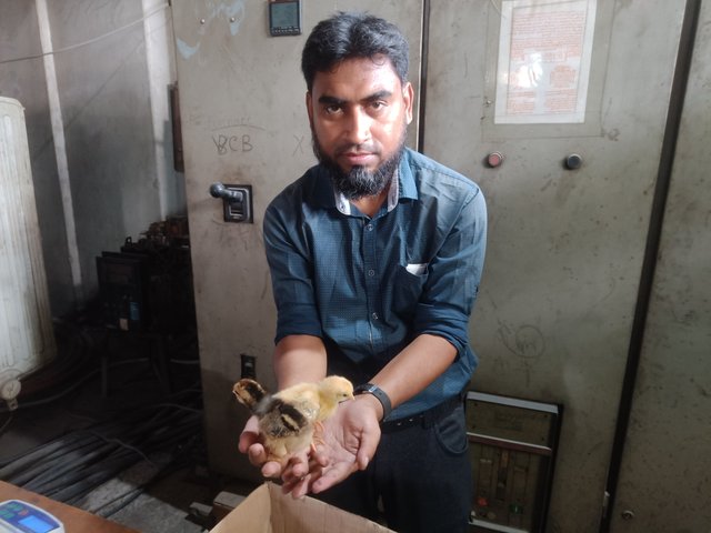 IMG20250427122356.jpg