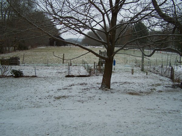 First snow crop Dec. 2018.jpg